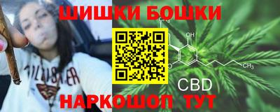 прущие грибы Балахна