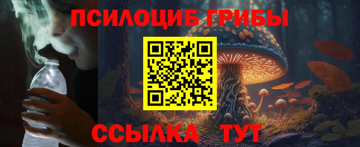 Псилоцибиновые грибы MAGIC MUSHROOMS Дмитров