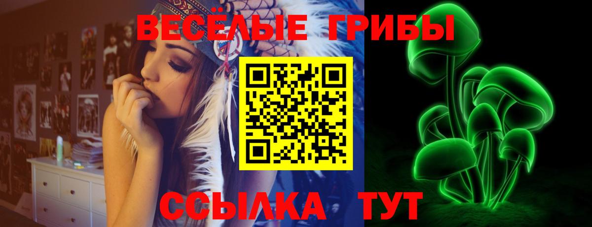 Дмитров  Галлюциногенные грибы прущие грибы  Вход с VPN 